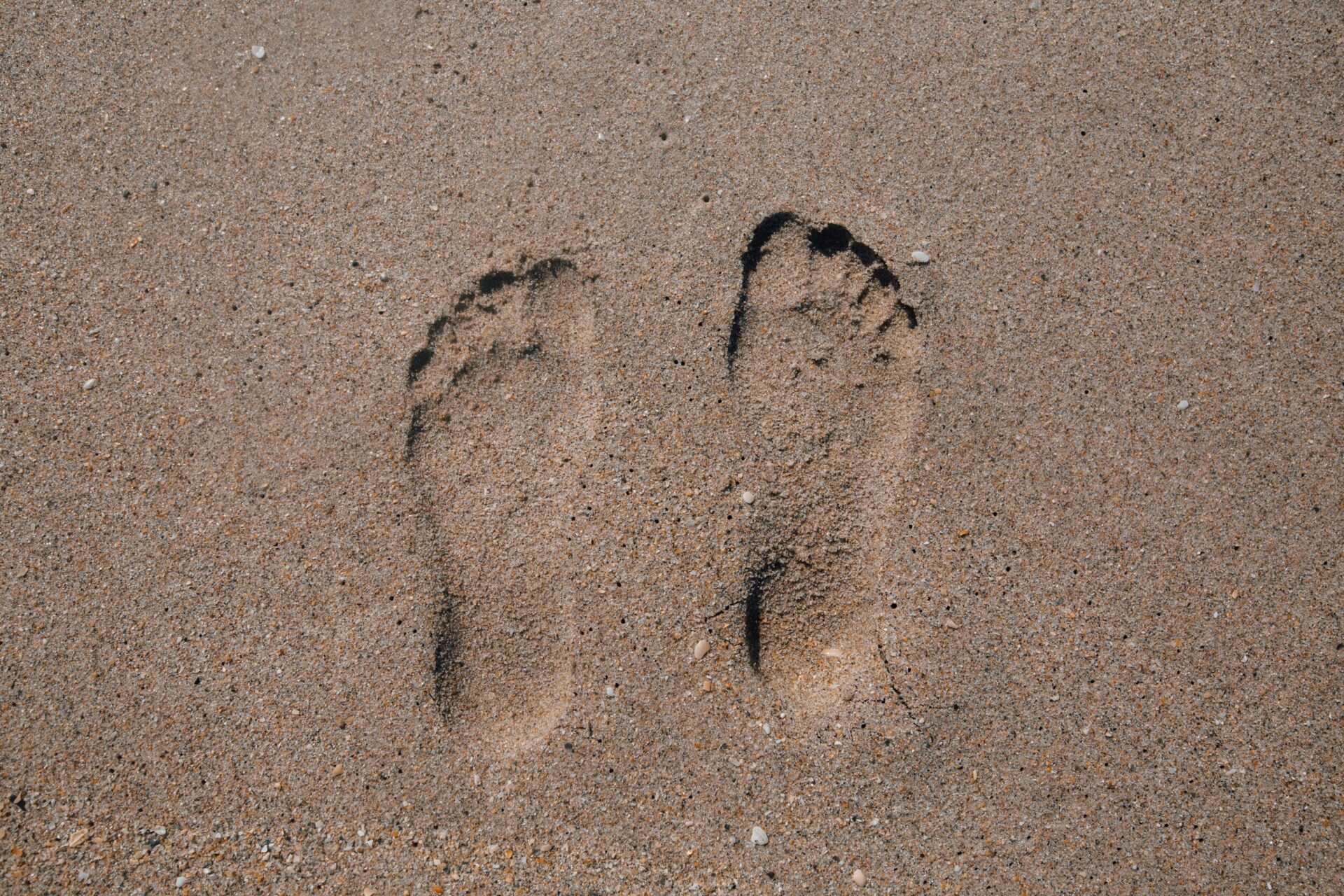 footprints in the sand